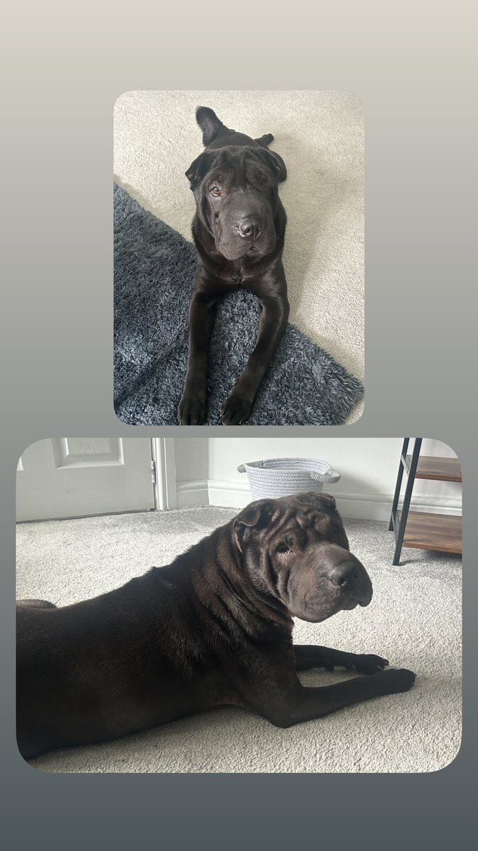 Home to my Babies after a fantastic weeks holiday!!