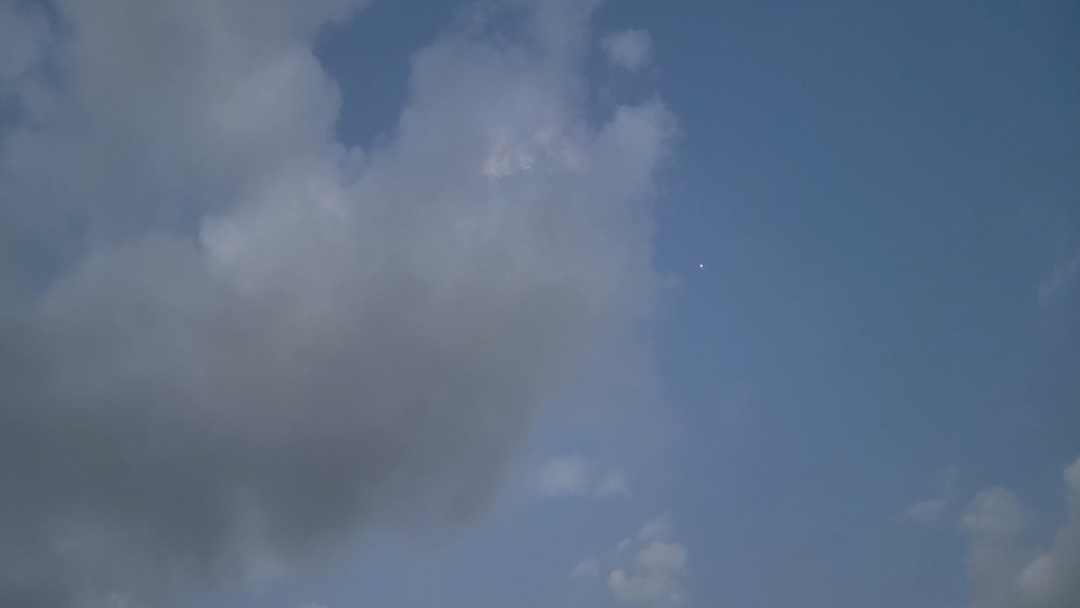 Daniela Montgomery tweet media