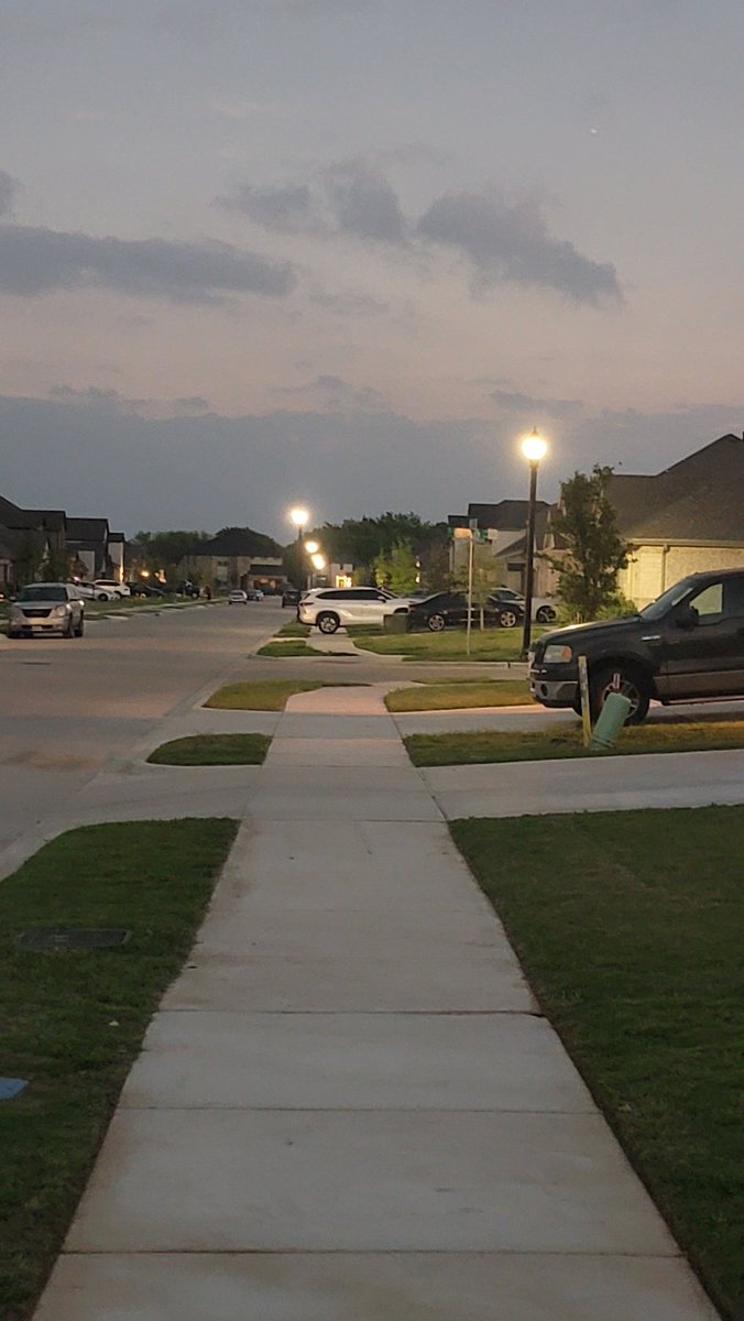 Daniela Montgomery tweet media