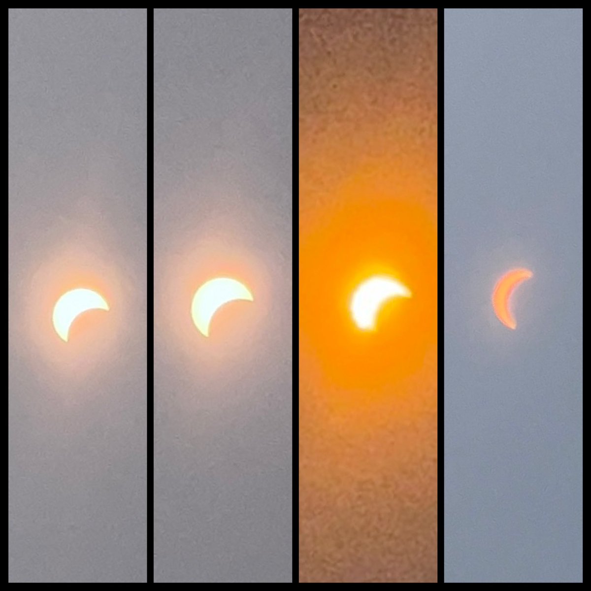 Solar Eclipse 2024 🌕🕶️☀️