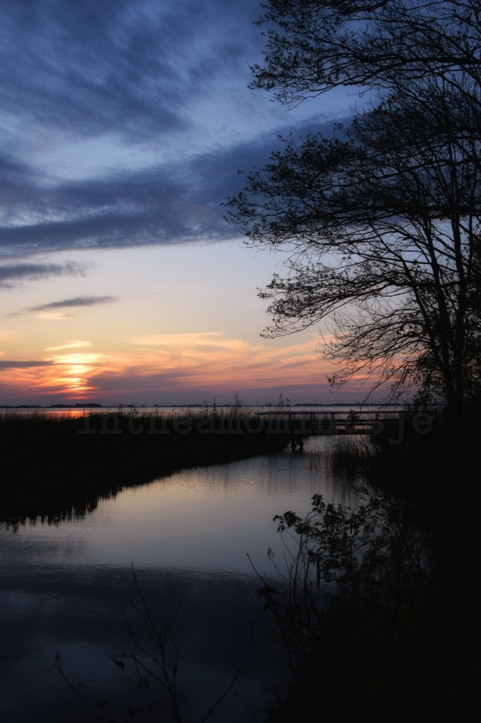 Oeral thús, mar thús it beste 
#Yndyk #Hegemermar