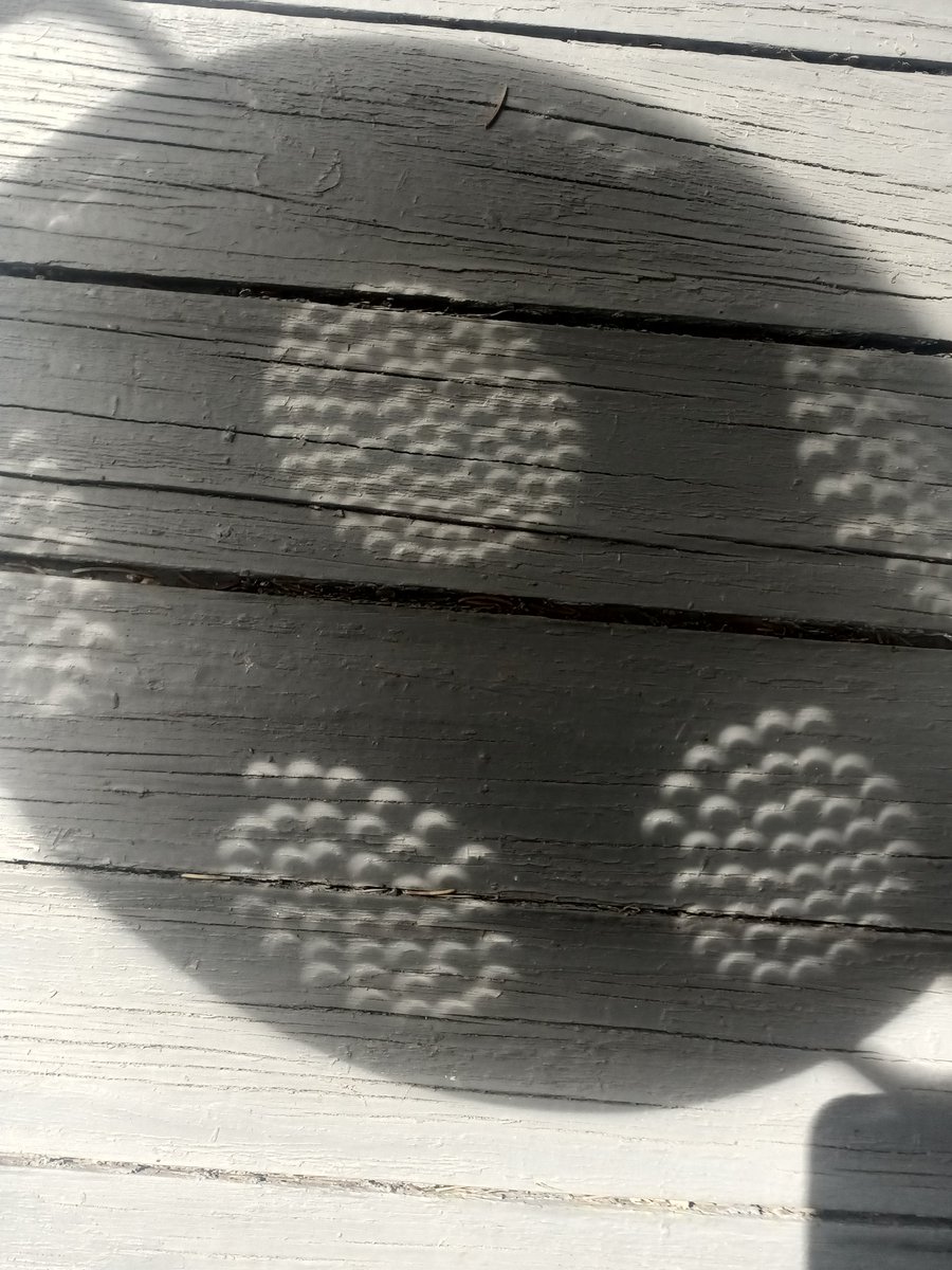 RealKeyFox's tweet image. How my eclipse experience went #Eclipse2024 #Ohio