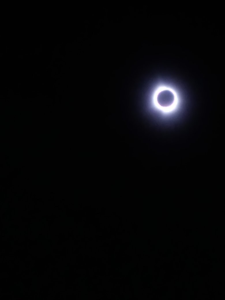 RealKeyFox's tweet image. How my eclipse experience went #Eclipse2024 #Ohio