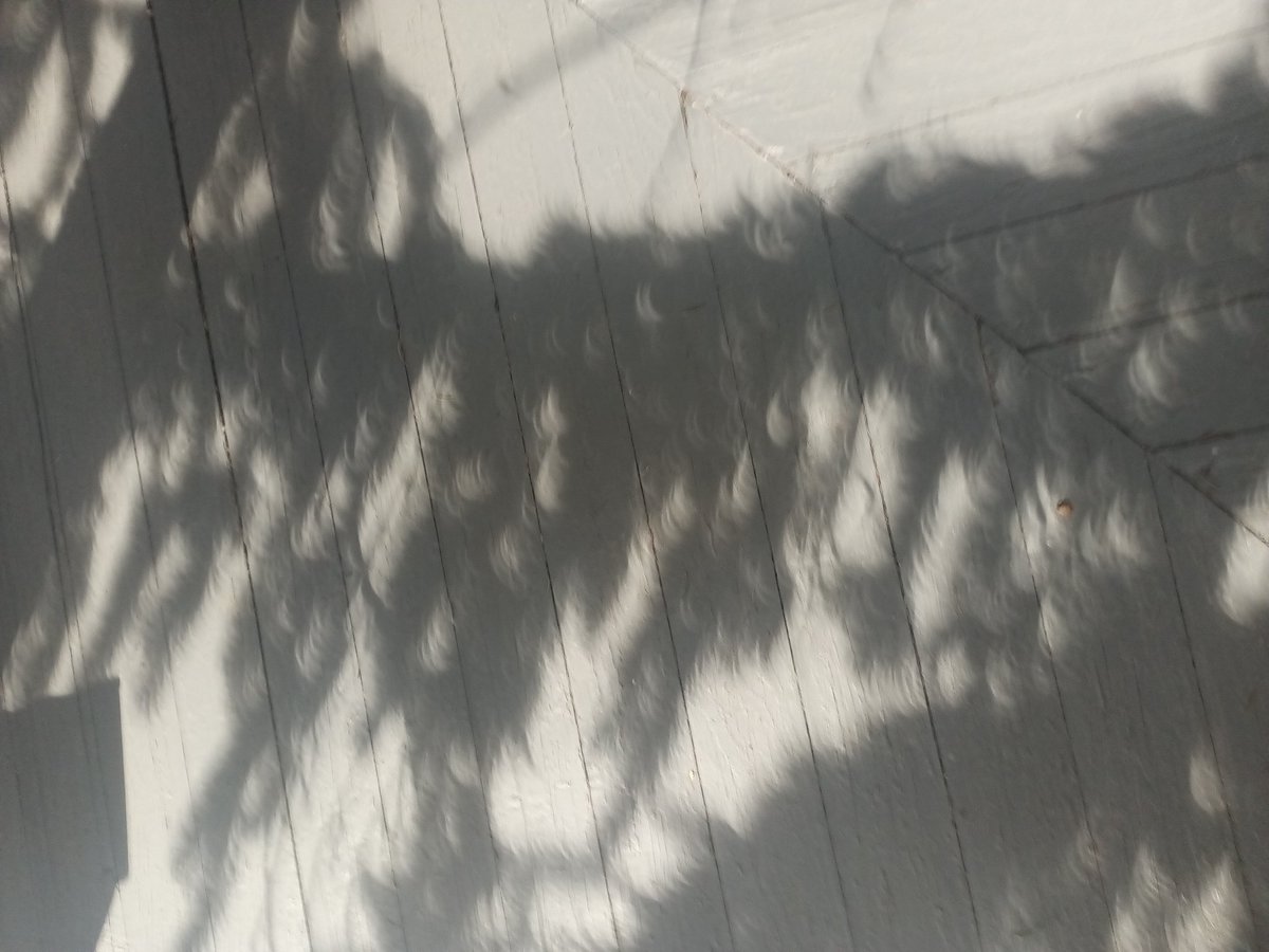 RealKeyFox's tweet image. How my eclipse experience went #Eclipse2024 #Ohio