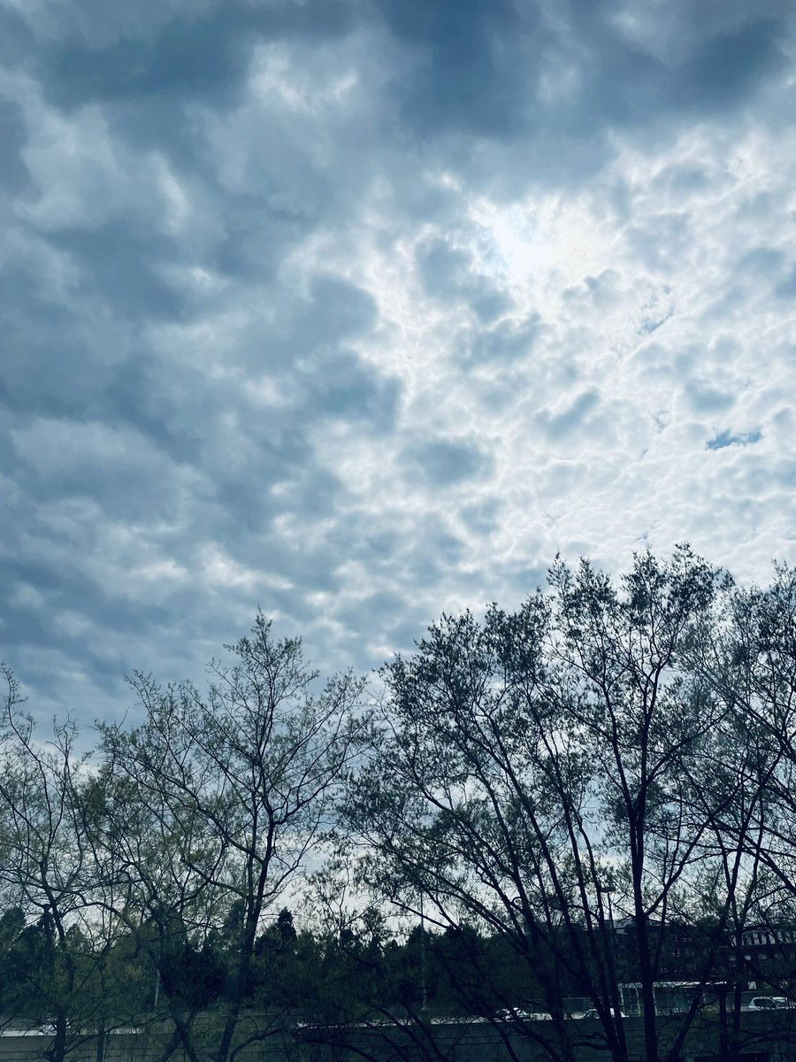 Looks like watching the eclipse from my office is going to be a dud. ☁️☁️☁️☀️🌘☁️☁️☁️