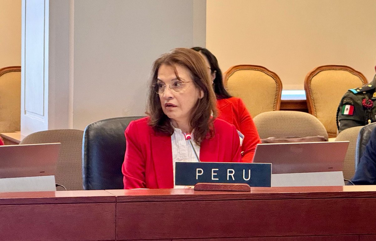 La representante de Cancillería, Embajadora Liliam Ballón, participa en la Cuarta Reunión de Autoridades Nacionales en Materia de Delincuencia Organizada Transnacional (#RANDOTIV) de @OEA_oficial, organizada bajo la presidencia de 🇺🇸 los días 8 y 9 de abril en Washington D.C.