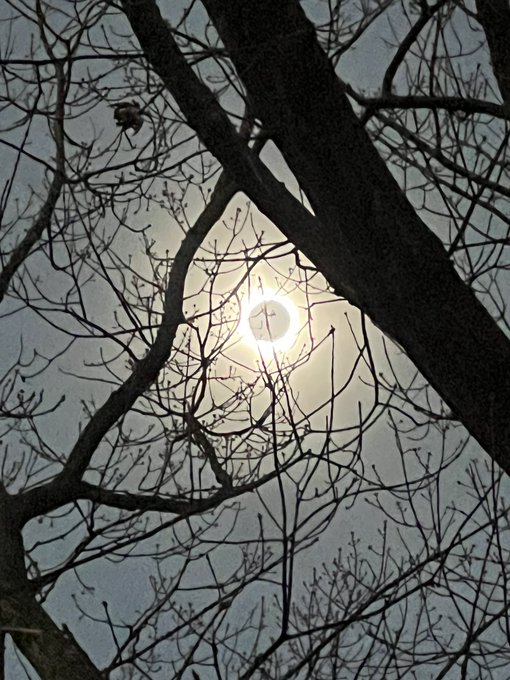 Happy Eclipse day 🖤 https://t.co/RN4FVGpiwm<a href="/tag/realloyalfans"class="tags"><span>#realloyalfans</span></a>