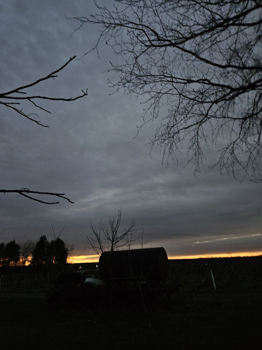 Was super cloudy but we still saw a fair bit of the eclipse. Second picture is how dark it got.