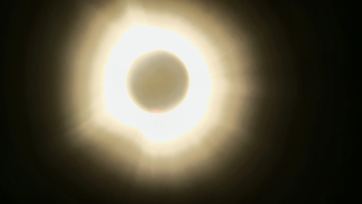 That was the best 4 minutes I've had in a while.  These are the best shots I got!