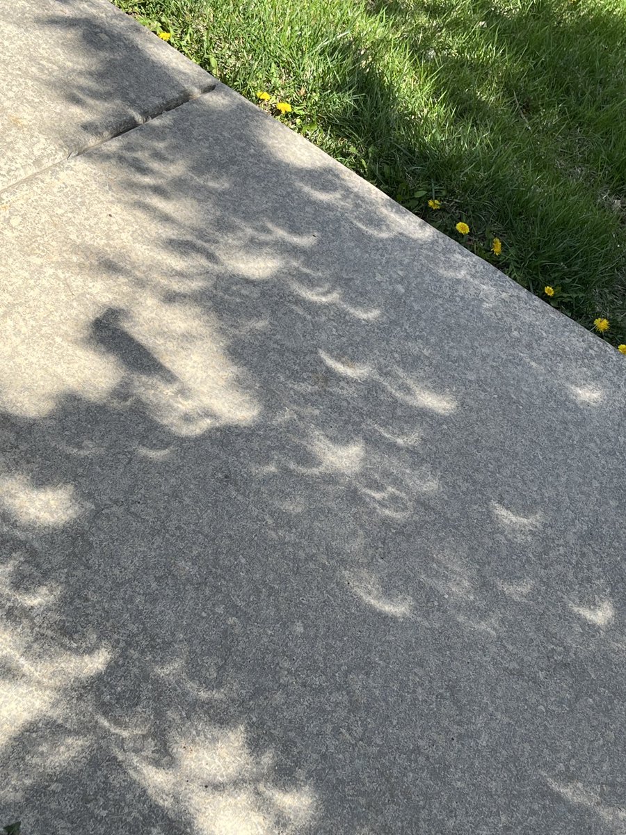 Luke Lammers tweet media