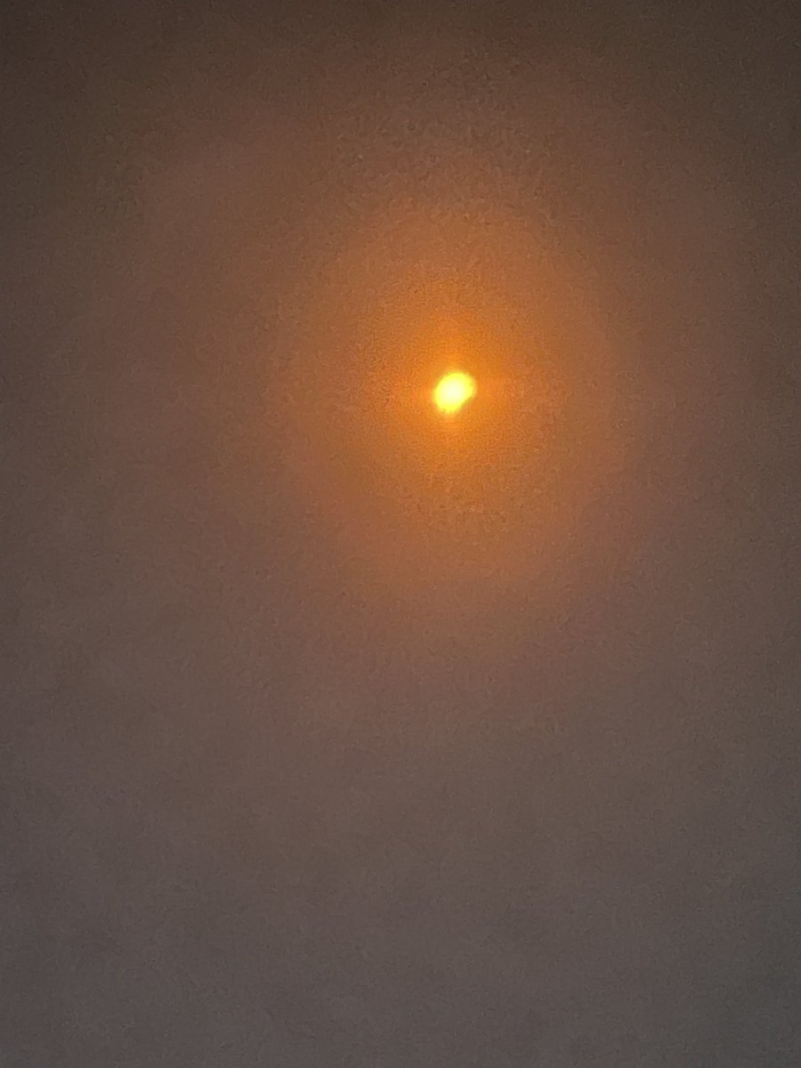 live meesh eclipse update