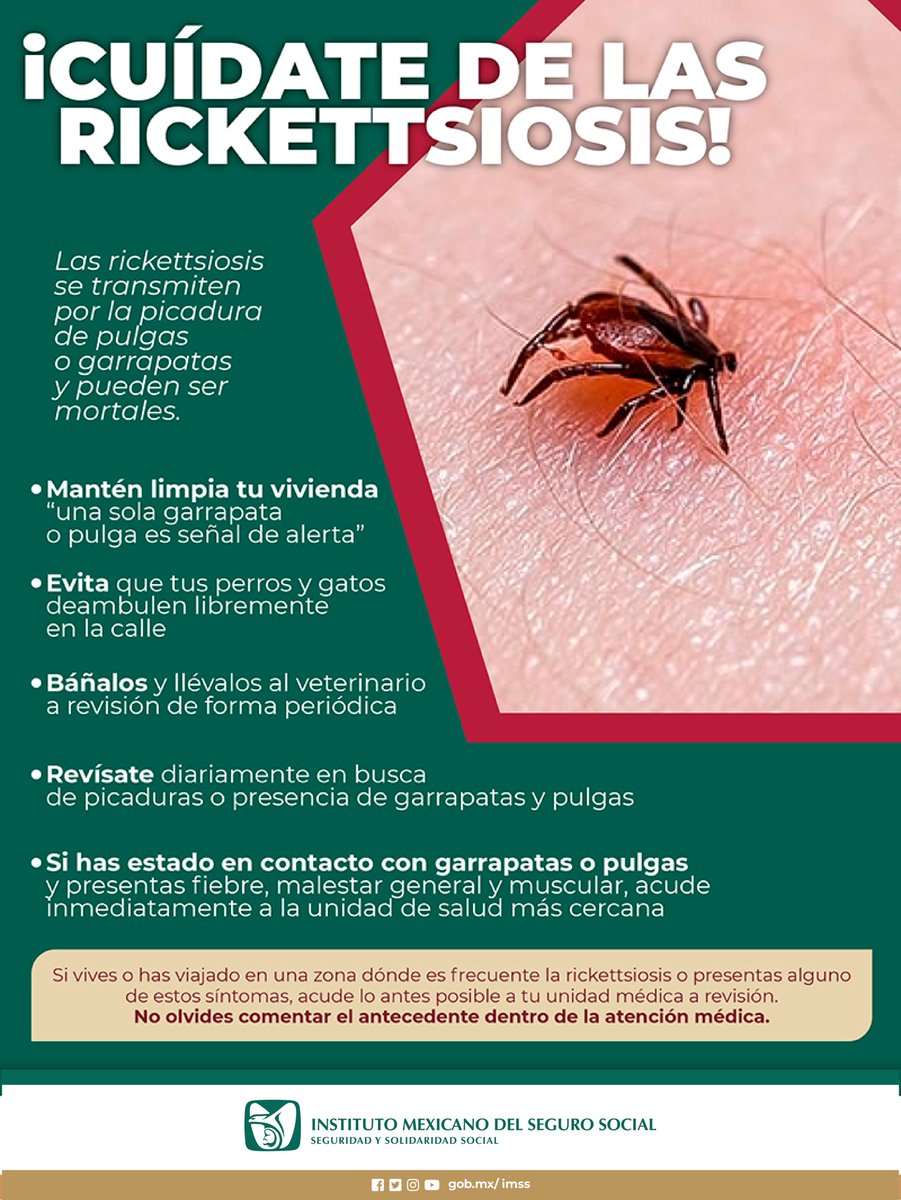 ¡Cuídate de las #Rickettsiosis! Se transmiten por la picadura de pulgas o garrapatas y pueden ser mortales.

Ante síntomas acude lo antes posible a tu Unidad Médica.