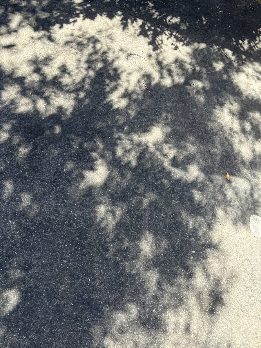 MercedesOhlen's tweet photo. listening to my iPod. looking at the eclipse shadows in the foliage of a parking lot. really feeling the phrase “girl who is going to be okay” today. https://t.co/nwZVOkEeKm