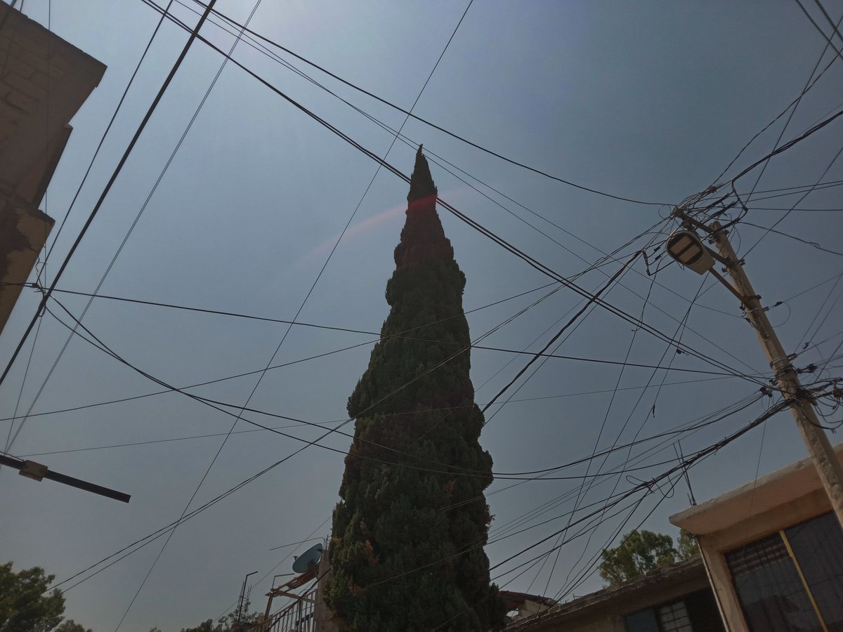 Aqui en casa no tuvimos lentes especiales, asi que junté a los sobrinos, hicimos un visor con una caja y proyectamos el eclipse en una hoja blanca, desafortunadamente la camara no sacó bien las fotos pero asi lo fuimos viendo, el oscurecimiento del cielo fue muy notorio…