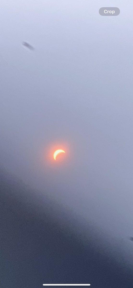 What a great event at the Bellingham Library. Thank you Ms Rivard and Mrs Rafferty. #carolynrafferty #bellinghampubliclibrary