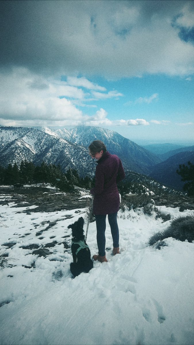 maggiethebard's tweet image. Just a girl and her dog.
🏔️🐶 

#happyeclipse #mountains #snowday