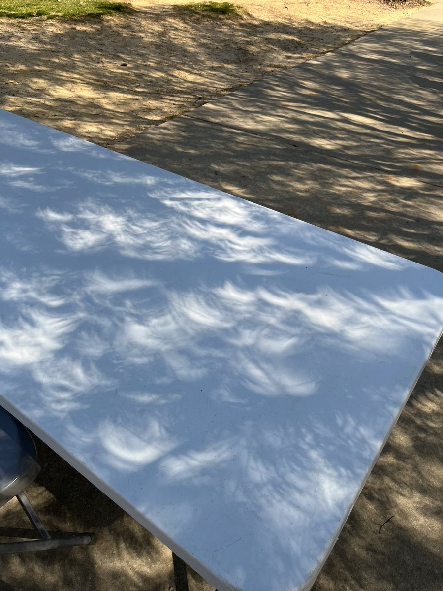 MsLaurenHaynie's tweet photo. Solar eclipse viewing @SalemMSWake with Capri Suns and Moon Pies! My favorite part is seeing the crescent light shapes coming through the leaves of the trees. So neat! #SolarEclipse2024 #SalemProud https://t.co/ry1l6Ftzkh