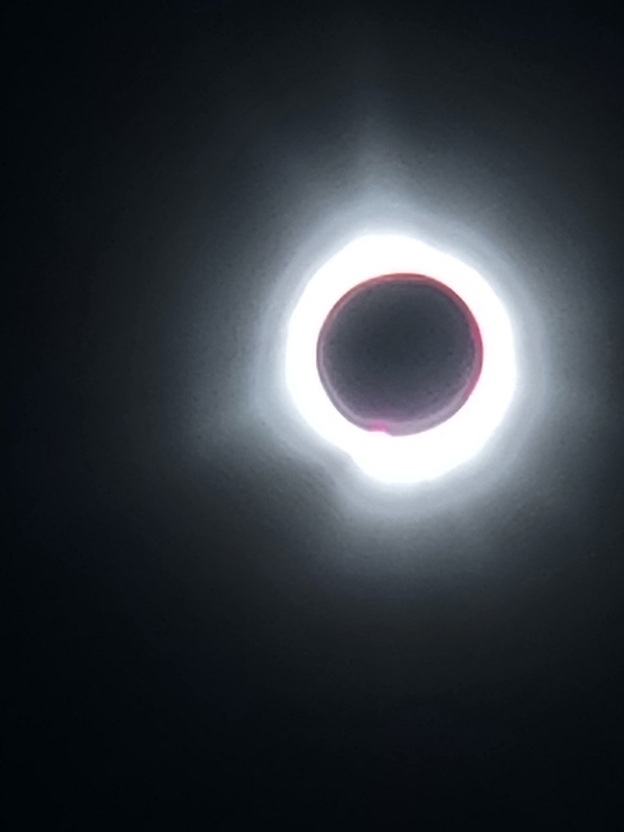 Misty/Chronexia Infinity🍥 tweet media