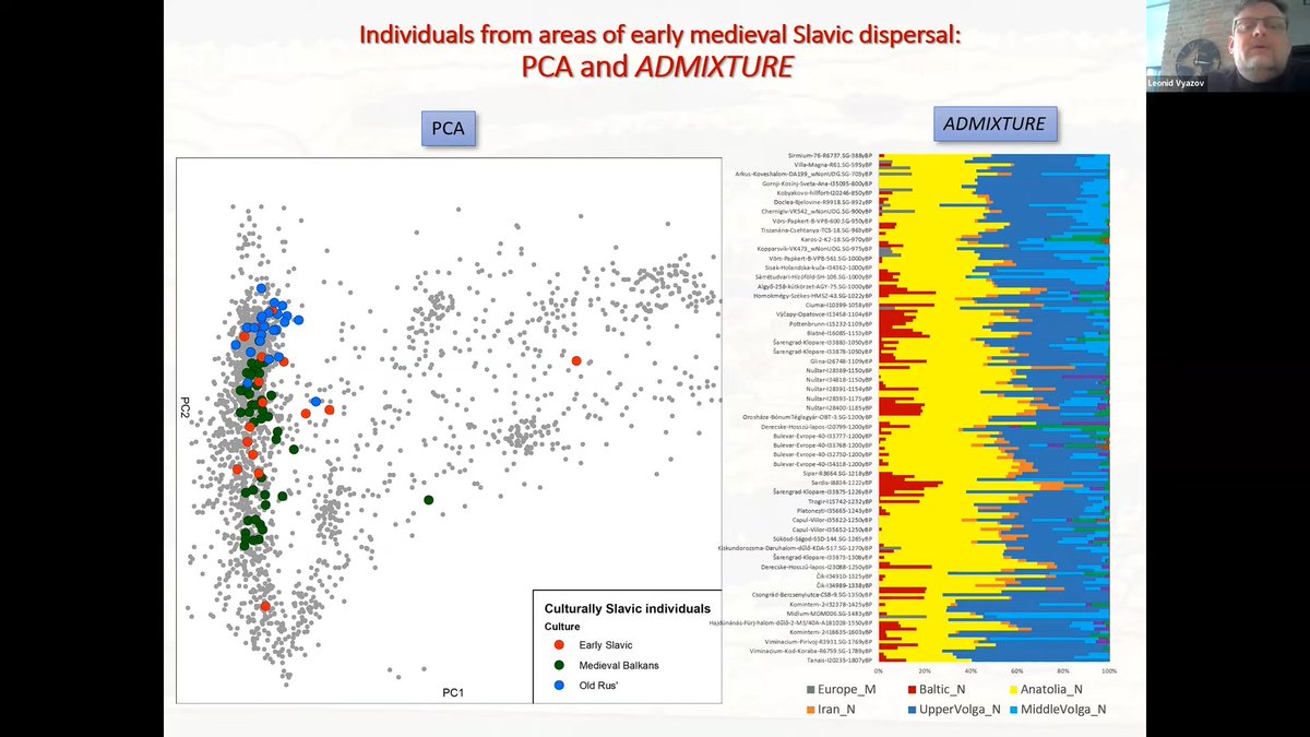 Interesting new presentation on geography and chronology of Slavic settlements according to archaeogenetics data:

'Individuals from areas of early medieval Slavic dispersal.'