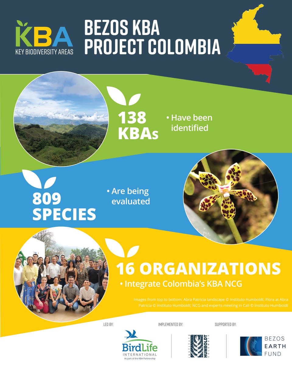 Discover the results of the Bezos KBA Project in Colombia 🌱138 KBAs identified 🌱809 trigger species evaluated 🌱16 organizations part of the KBA National Coordination Group This project was implemented by @inst_humboldt, led by @BirdLifeAmerica and funded by @BezosEarthFund.