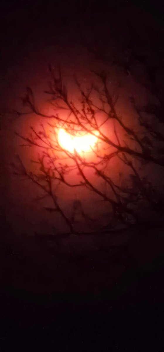 I spent the last hour or so watching the eclipse. Even though it wasn't completely covered, it was still an amazing sight.