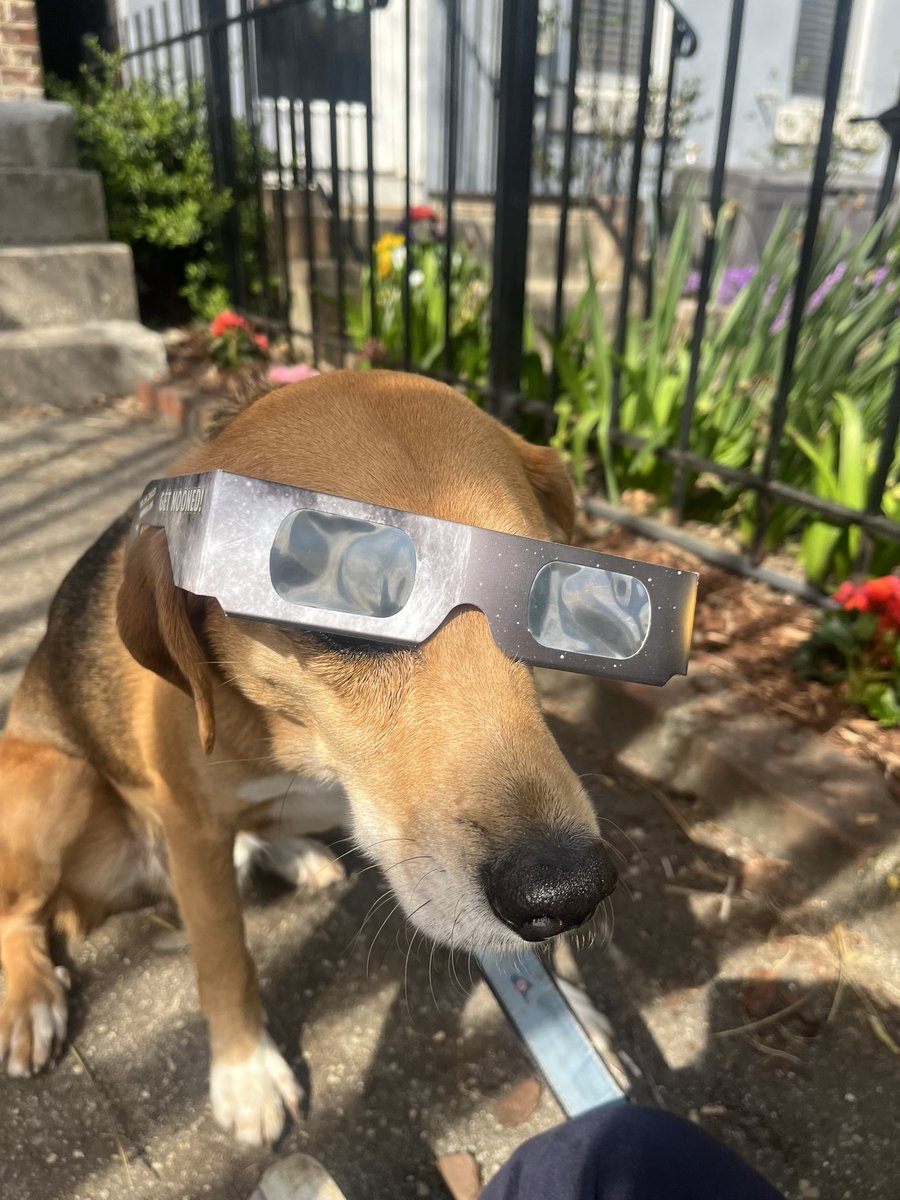 The eclipse is for everyone