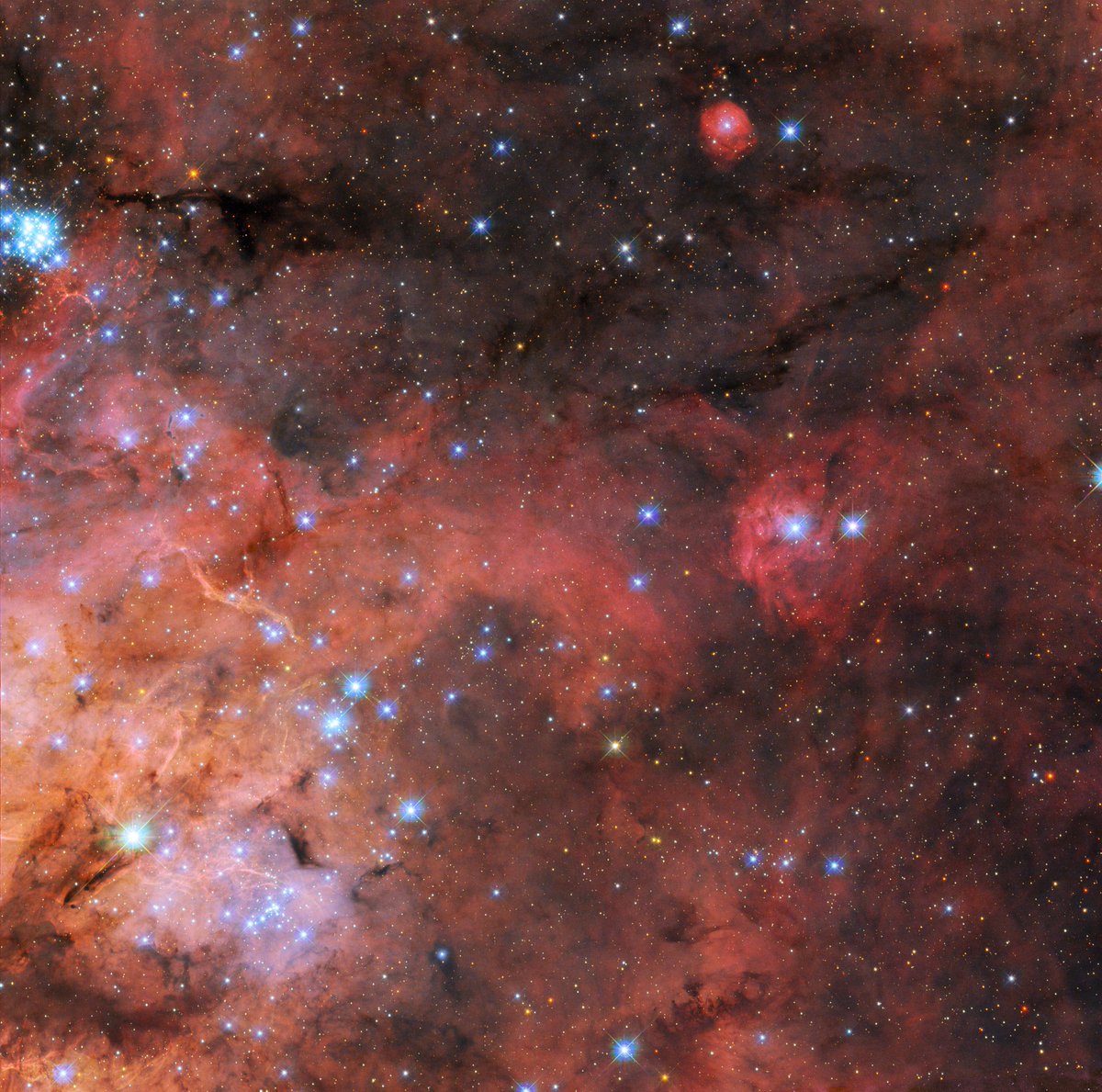 The Tarantula Nebula, 161,000 light years away from us.