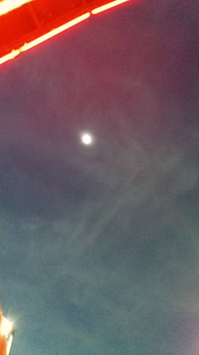 SimpleSly2012's tweet image. Me and my new group of hunters. #SolarEclipse2024