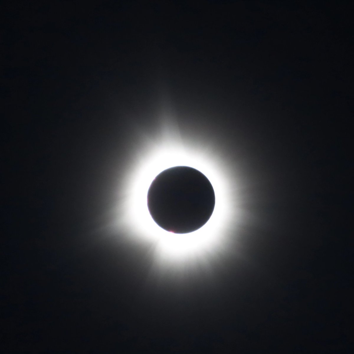 Kris Sobczak (@krisgsobczak) on Twitter photo 