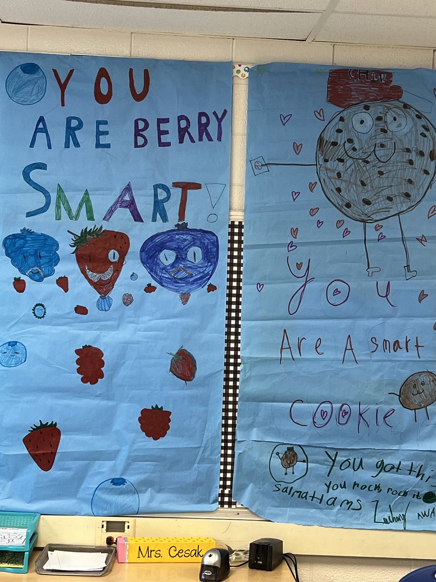 Amanda Cesak tweet media