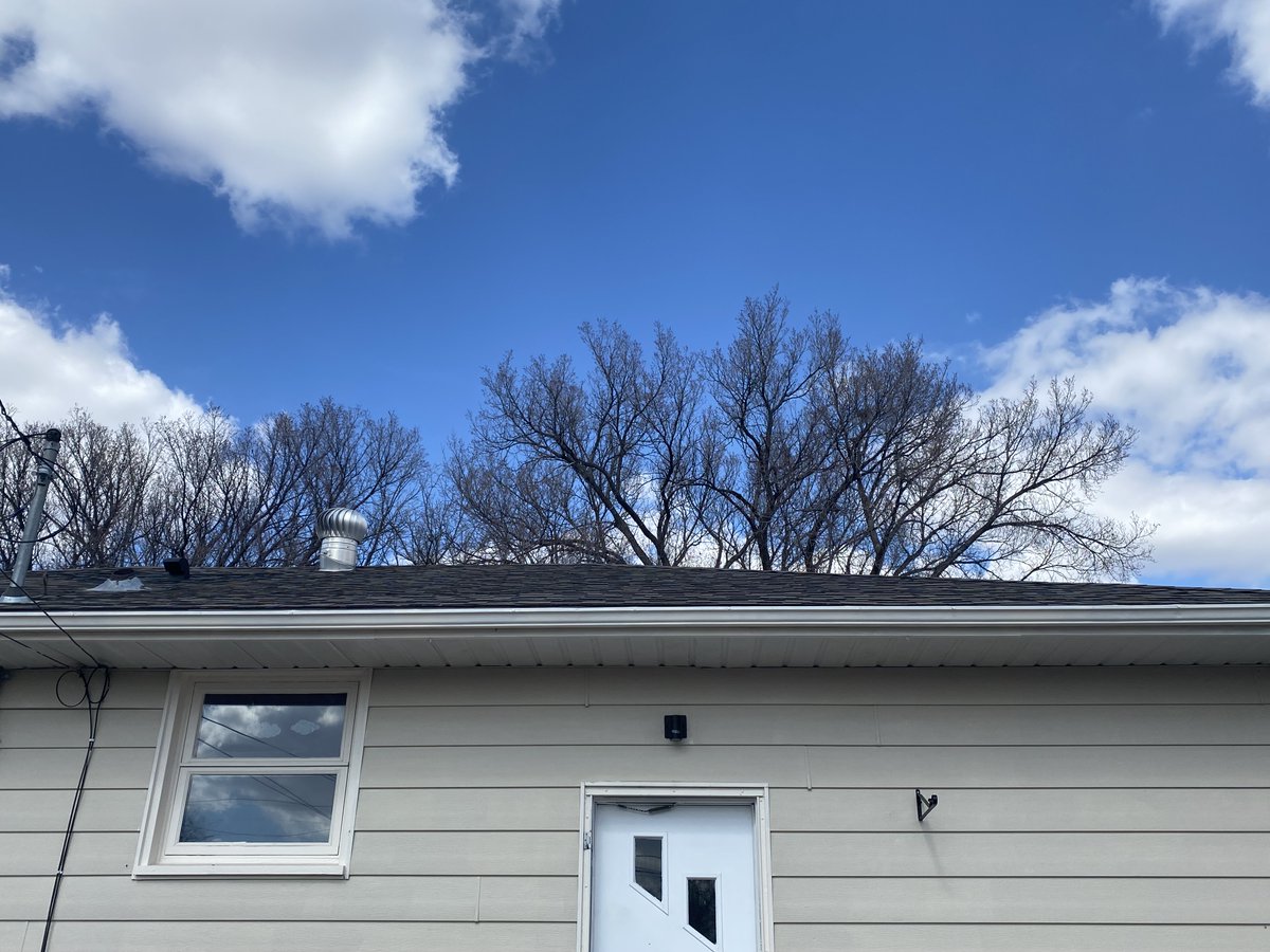 This Monday is all about looking up... As in up toward your roof for a quick scan to see how your roof weathered the winter. Check for missing shingles and damage to your eaves or downspouts. Just don't accidentally look at the eclipse while you do so!