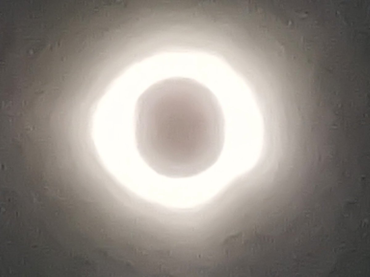 David "JoelKatz" Schwartz (@joelkatz) on Twitter photo .<a href="/JoelKatz/">David 'JoelKatz' Schwartz</a> marked himself safe from the 2024 total solar eclipse. .<a href="/JoelKatz/">David 'JoelKatz' Schwartz</a> marked himself safe from the 2024 total solar eclipse.