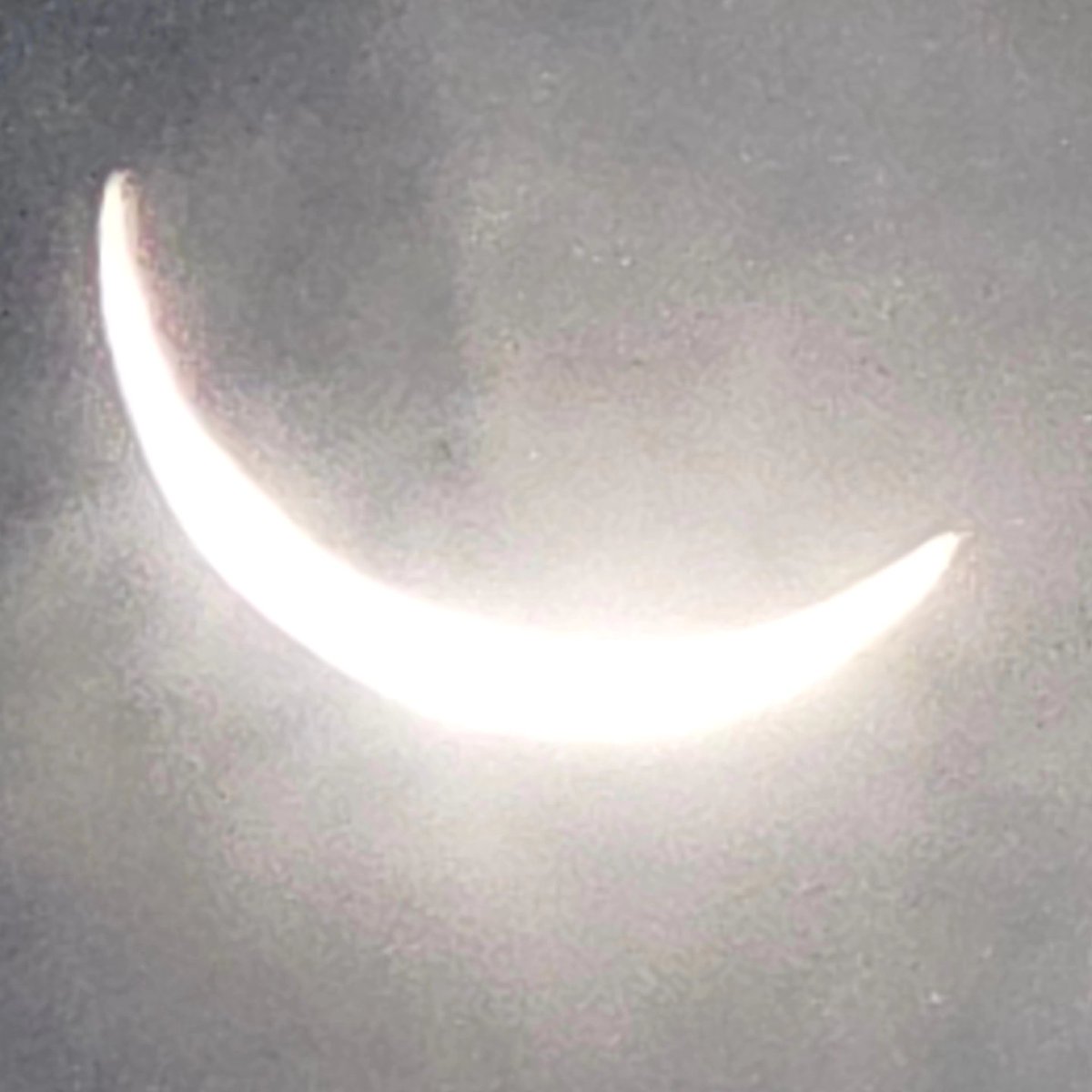 Chevy86joy4eva's tweet photo. #SolarEclipse2024 #houstontx #Eclipse2024 my view today.  See you in another 20 years https://t.co/ge0KBFYdXG