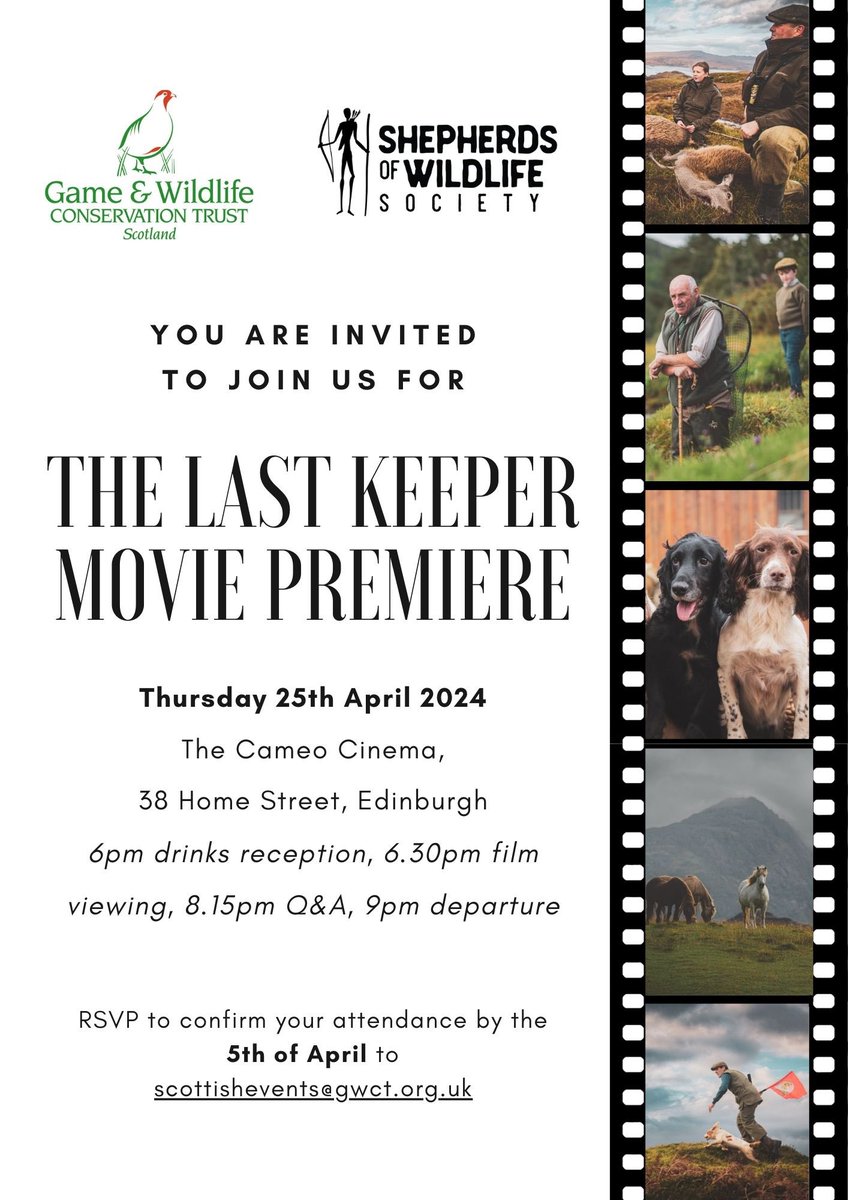 Tom Opre tweet media