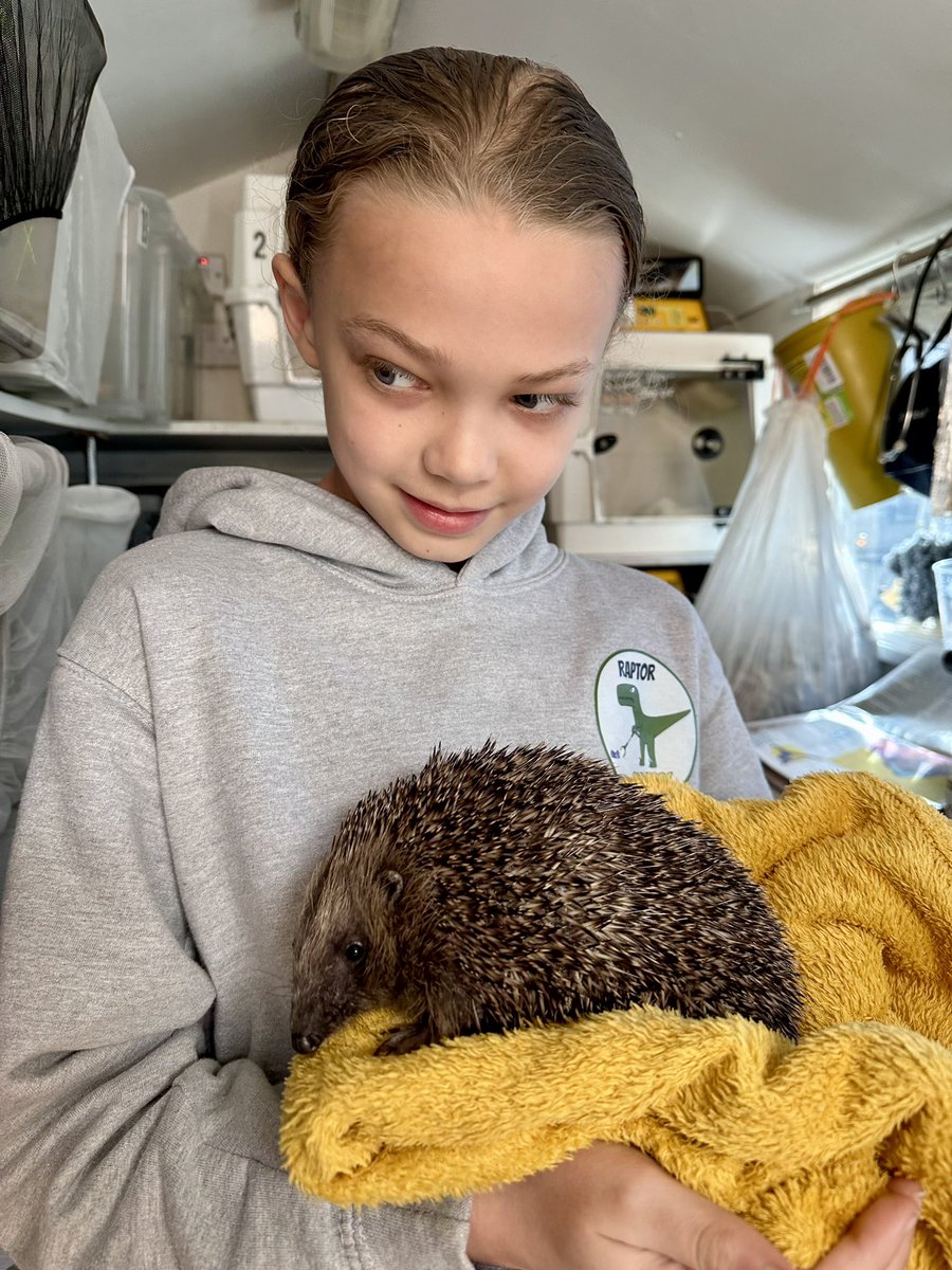 Back in December George sold packets of eco friendly reindeer food raising £330 for Castleford Hedgehog Rescue. On Saturday he visited the rescue to meet some of the cute, prickly tenants 🦔 #hedgehogs