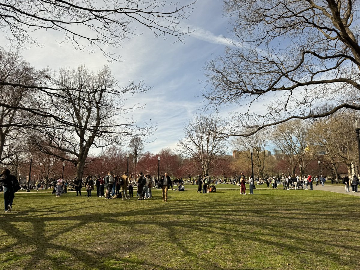 When the city becomes a community #Boston #SolarEclipse