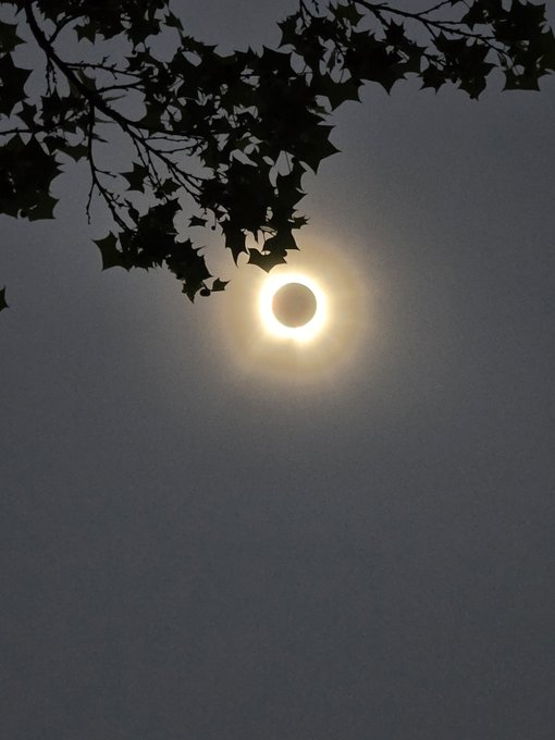 “The heavens declare the glory of God, and the sky above proclaims His handiwork.” (Psalm 19:1) #Eclipse2024