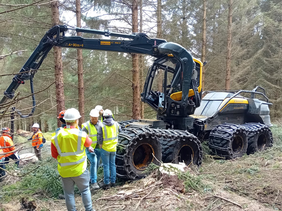 UCD Forestry tweet media