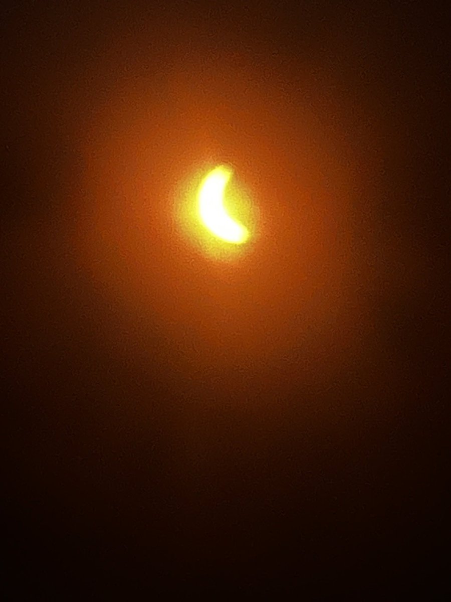Had to go check out the eclipse. Just like a Fred Meyer rotisserie chicken...totally worth the hype.
