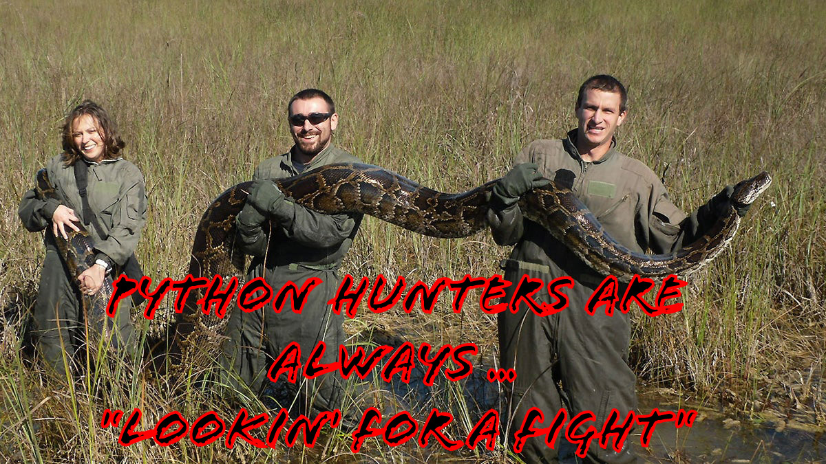 Python Hunters are Always... 'Lookin' For A Fight' #pyhtonhunting #everglades #lookinforafight