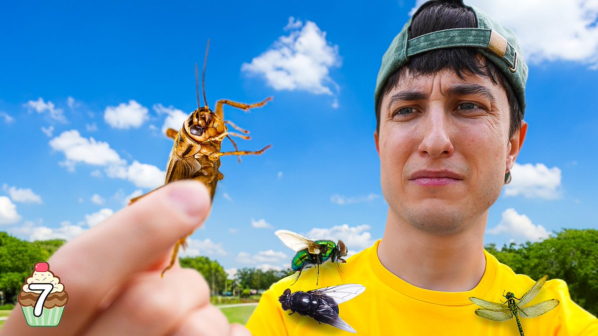 Miniatura para Rioboo 🪳 "Comí INSECTOS por Primera Vez en Mi Vida"
👇👇
youtu.be/M6N1AB4gPzQ?si…

Si alguien necesita un diseñador de miniaturas, contáctame por md 📷 portixinfo@gmail.com