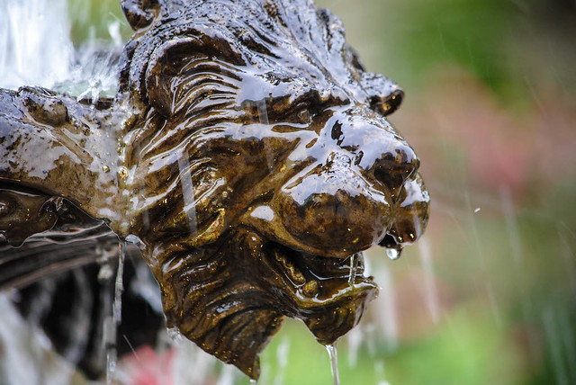 ICYMI- (Lion #Fountain) - photos.mikemcbrideonline.com/2019/04/10/lio… - #HoumasHouse