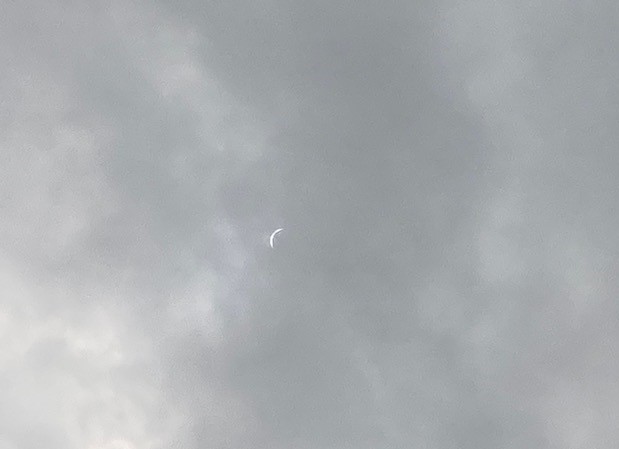 RedlandOaksES's tweet image. Getting ready for the once in a lifetime event @RedlandOaksES. Even the sun showed up to view the total eclipse! 🦝 @NEISD #neisd