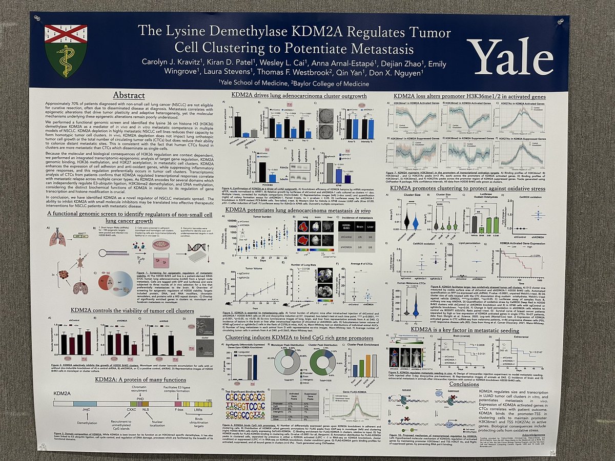 Presented by the Nguyen Lan @yalepathology at #AACR24.