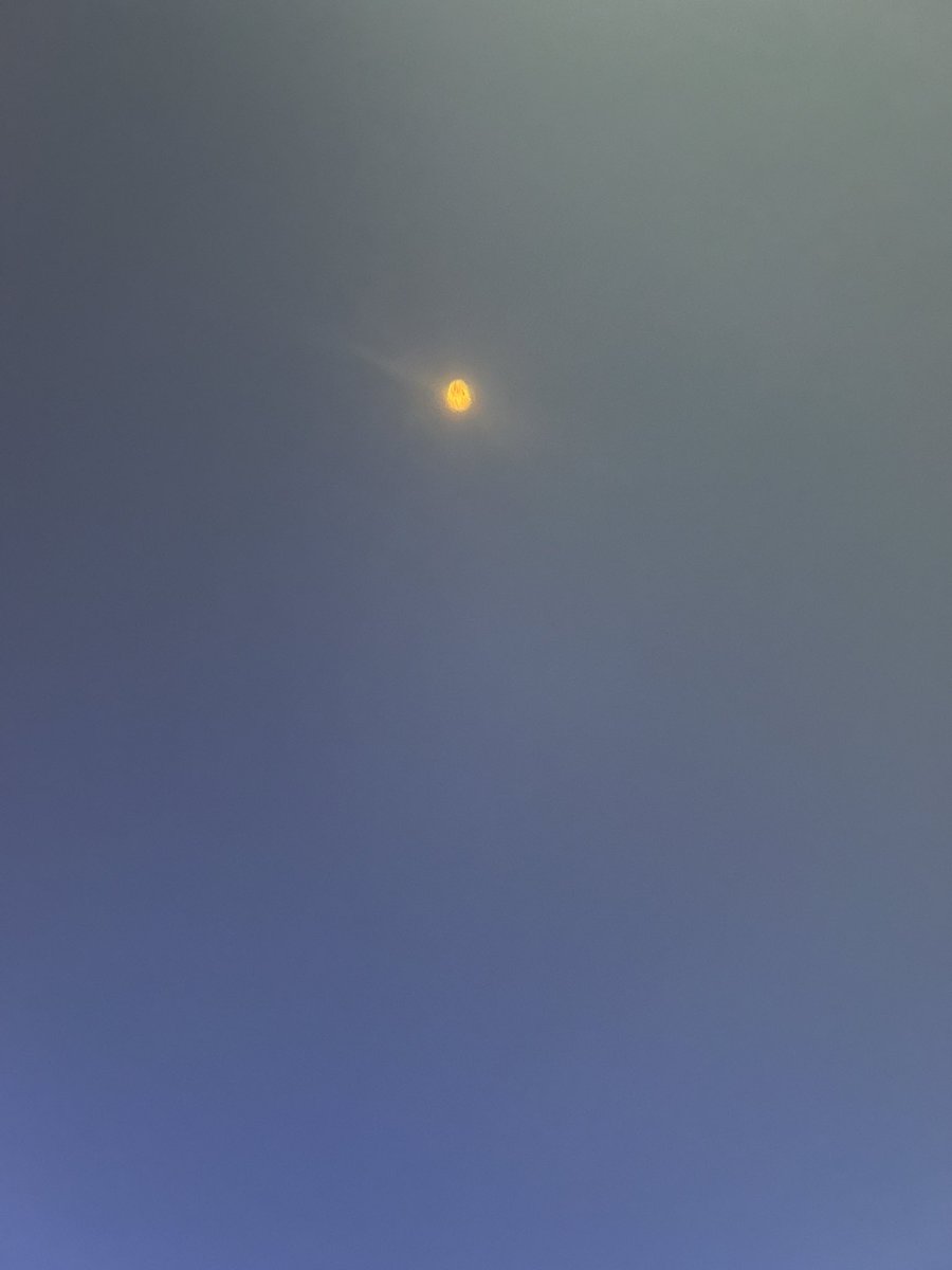 Solar eclipse from 100 college street!