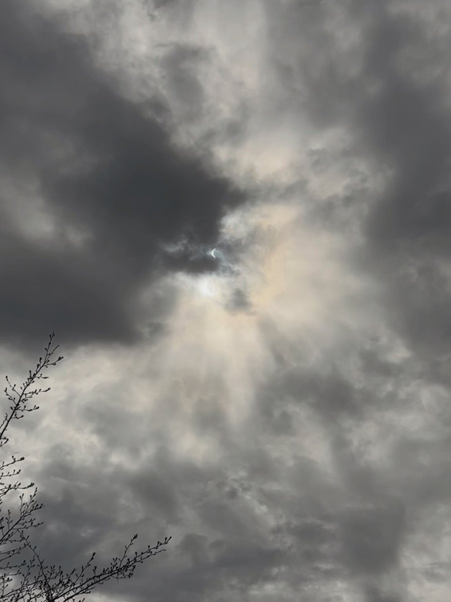 Today's agenda at Friedman Schuman: watching the eclipse! 🌘 #friedmanschuman #fsalaw #solareclipse #eclipse2024 #eclipse