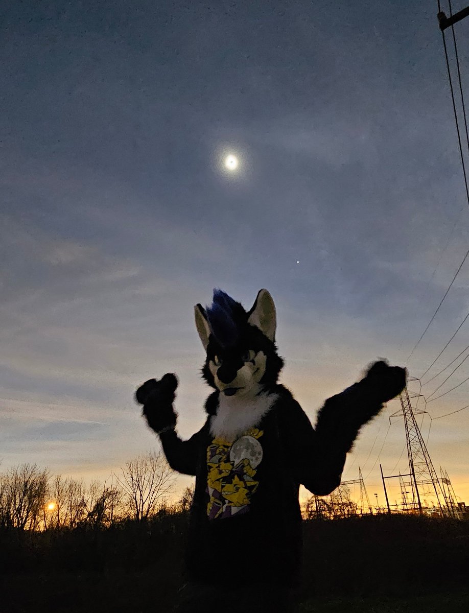 VespHusky tweet picture