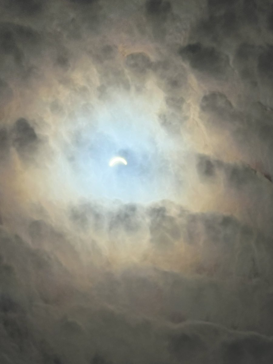 Nigel Nahous tweet media