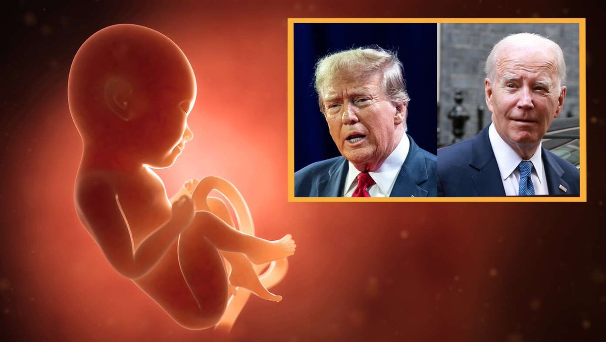 Unborn Babies Begin Considering Third Party Candidates buff.ly/3VRtHGZ