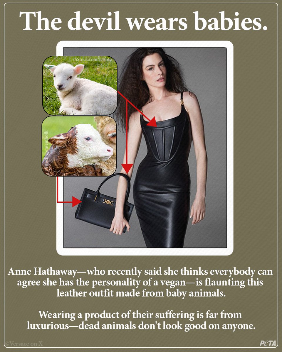 Wearing dead baby animals’ skin isn’t fashion Anne Hathaway & @Versace. Do better. Wear vegan.